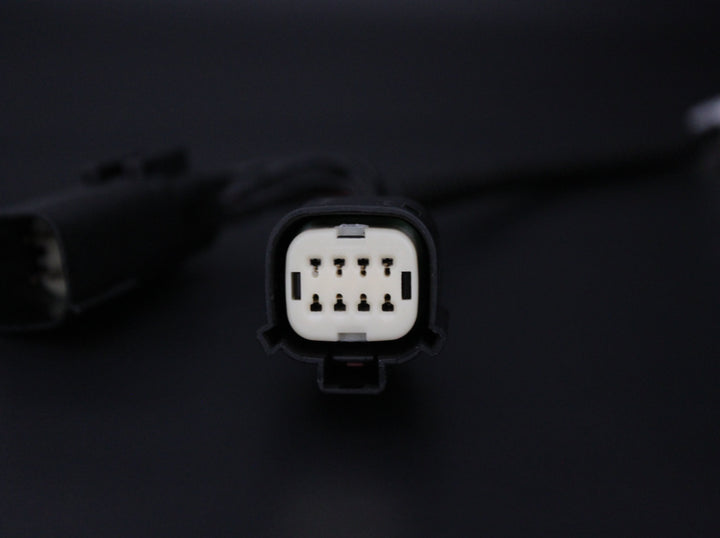 PIGGYBACK ADAPTOR - FORD PX 2/3 RANGER, RAPTOR, EVEREST